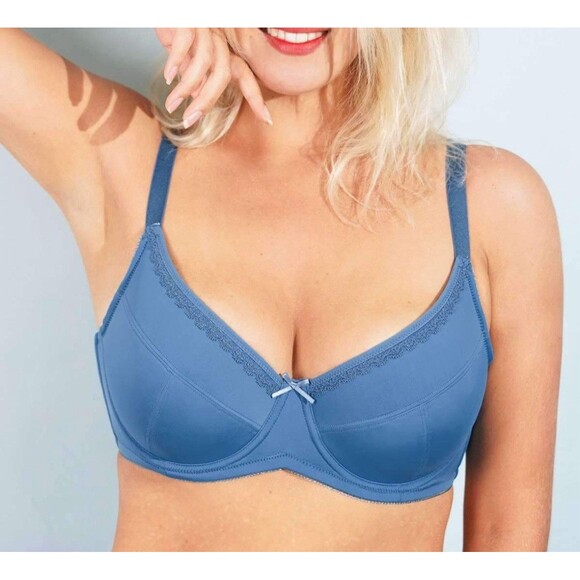 HSIA Lightly Padded Underwire Bra 36DDD Blue Soft Supportive Cups NEW - Picture 1 of 10